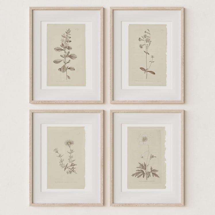 Sandstone & Sage Unframed Botanical Prints (4-Pack)