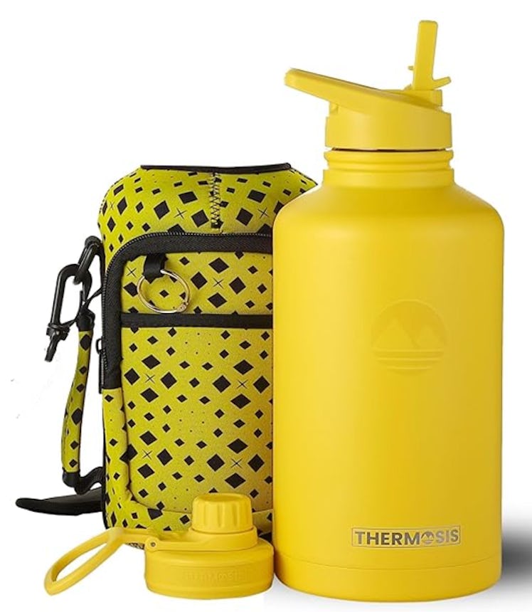 Thermosis Stainless Steel Water Bottle & Carrier