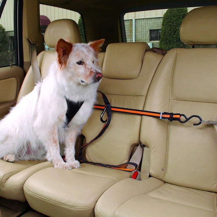 Kurgo Adjustable Dog Safety Belt