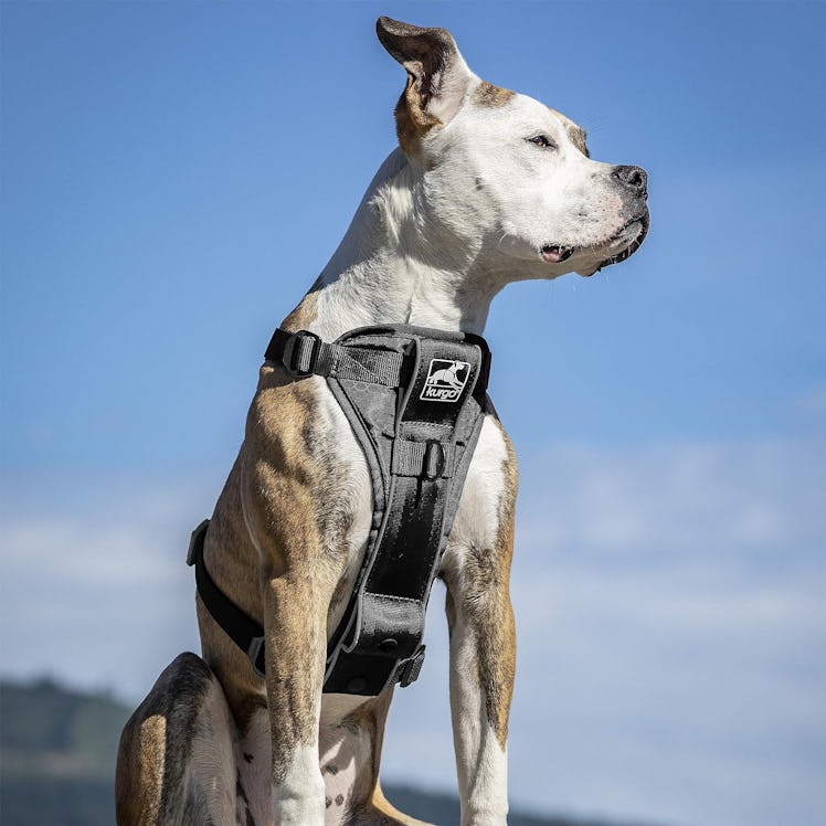 Kurgo Tru-Fit Smart Harness