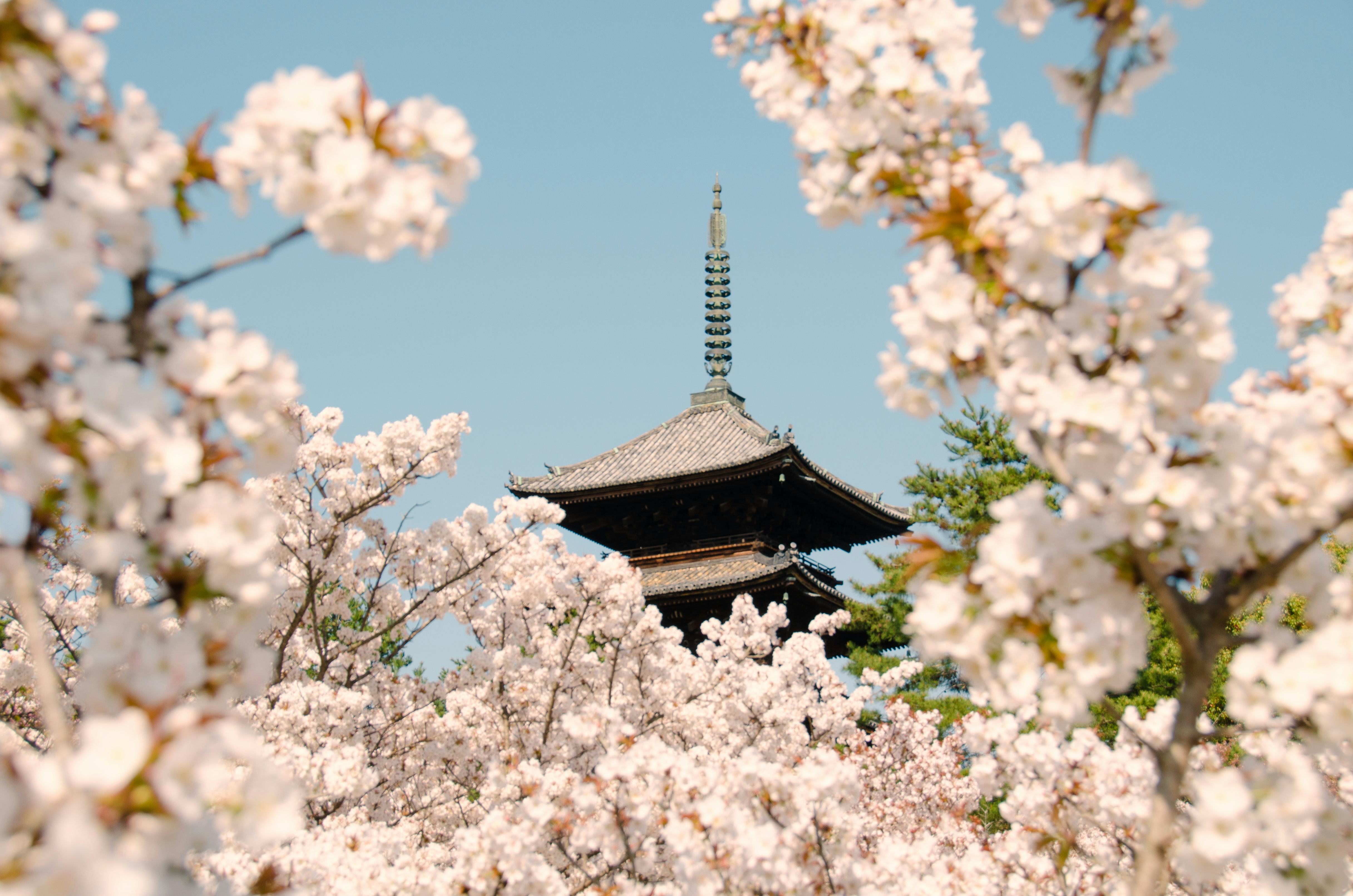 Kyoto Journal Issue 6 – Kyoto Journal