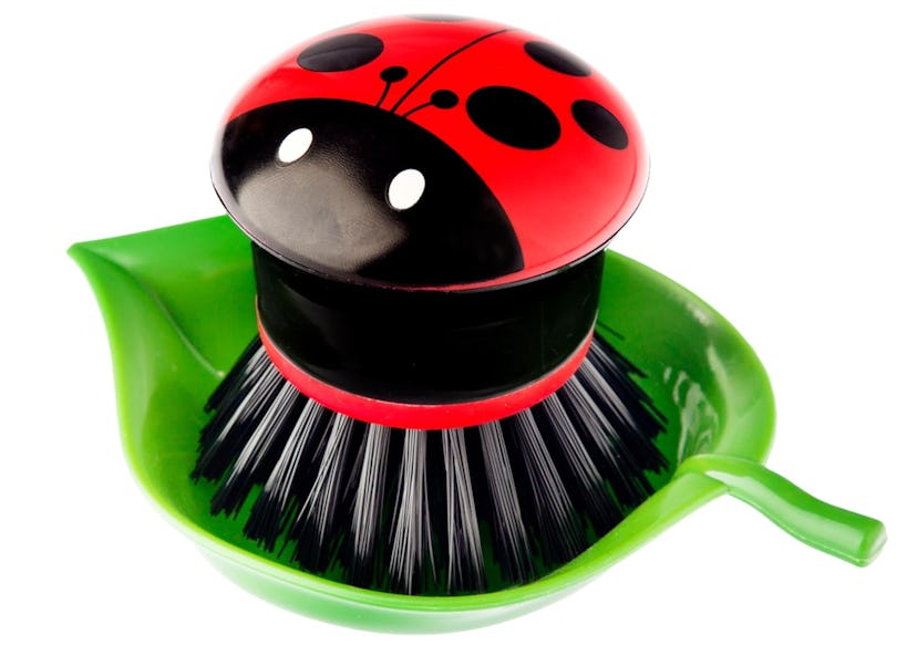 Vigar Ladybug Palm Dish Scrub Brush 