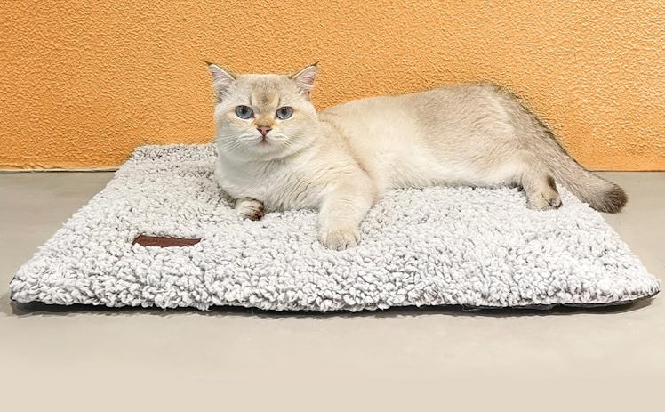 Mora Pets Self Warming Cat Bed