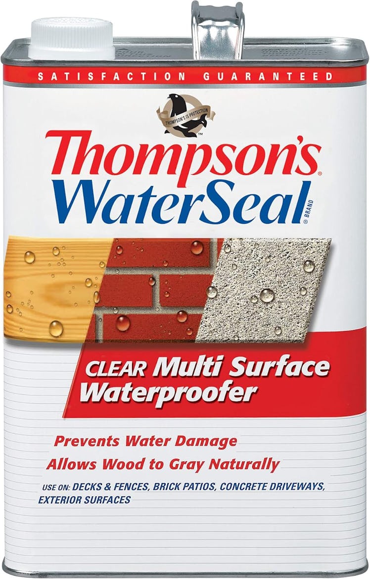 Thompson's WaterSeal (1 Gallon)