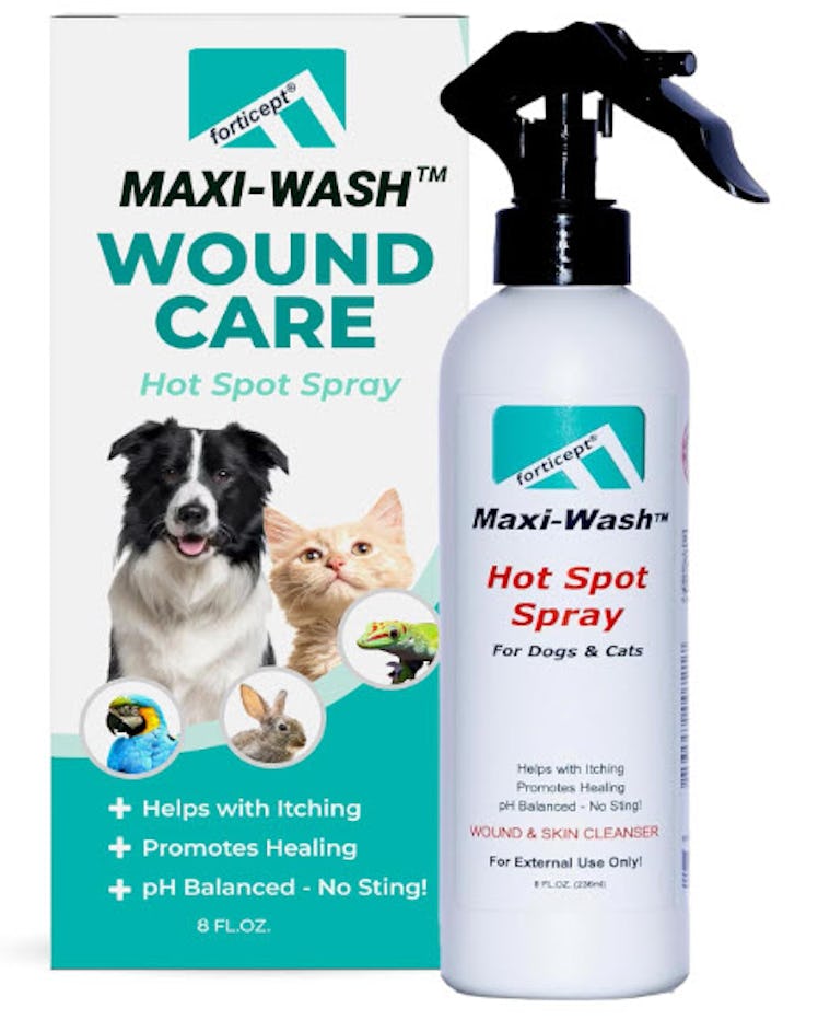 Forticept Maxi-Wash Hot Spot Spray Treatment