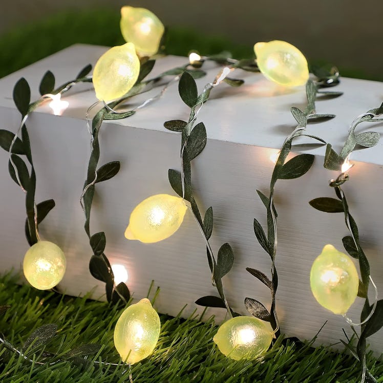 FLAVCHARM Lemon LED String Lights (10 Feet) 