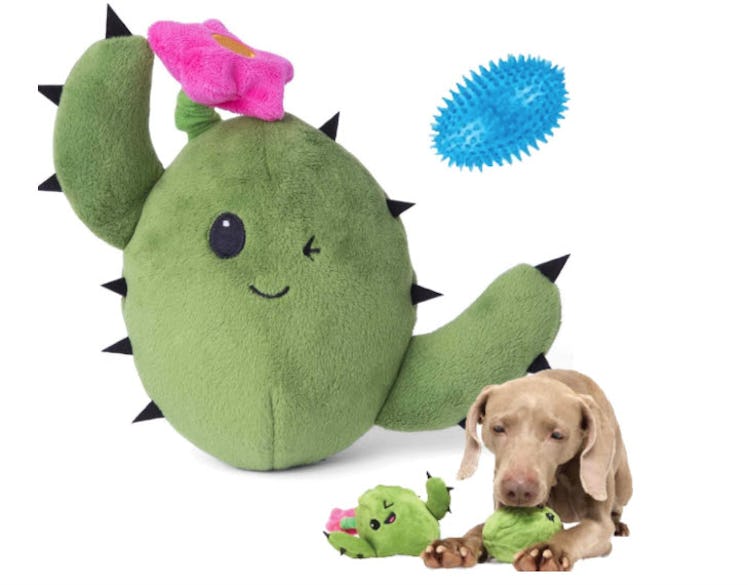 Barkbox 2-in-1 Interactive Plush Dog Toy