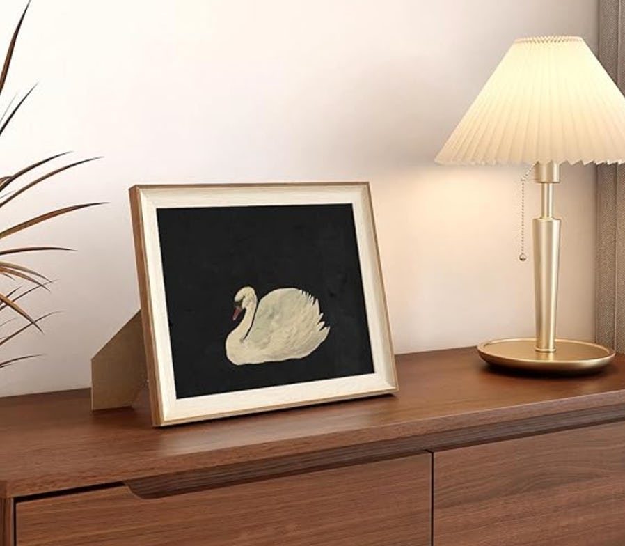 VIYYIEA Framed Wall Art