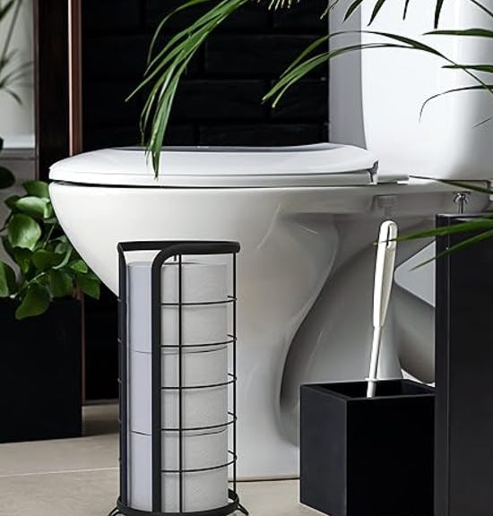 BROOKSTONE Toilet Paper Holder