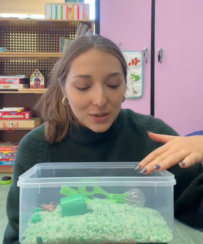A young woman with brown hair sits in a classroom, engaging with a transparent container filled with green material and small toys.