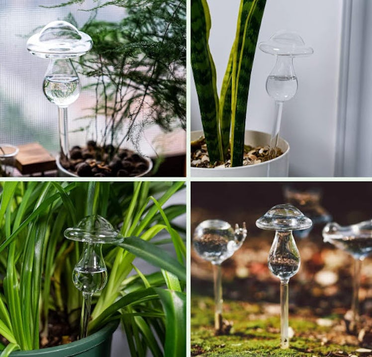 Kingbuy Self Watering Globes