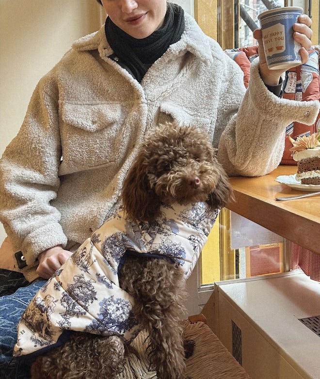 Little Beast x Rachel Antonoff Dog Parka