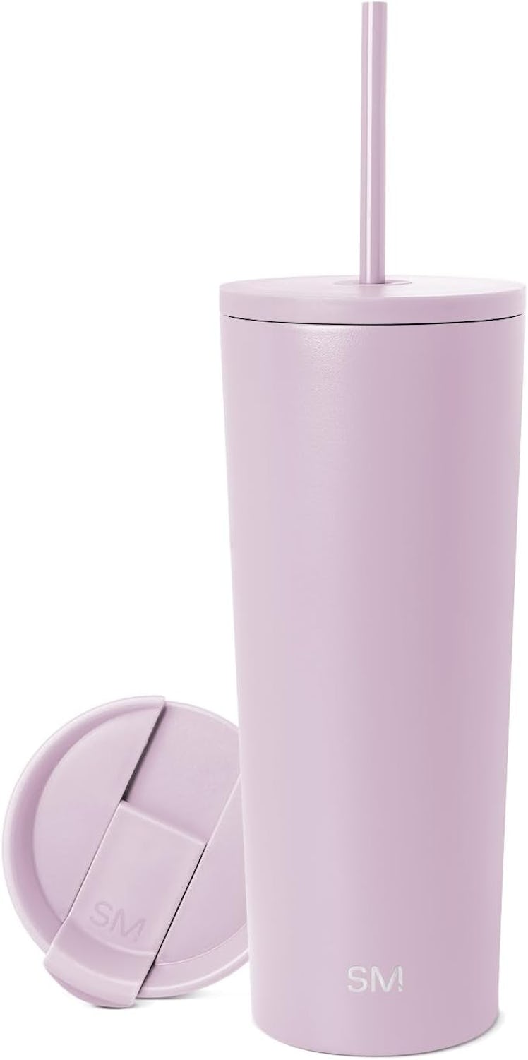 Simple Modern Insulated Tumbler with Lid & Straw