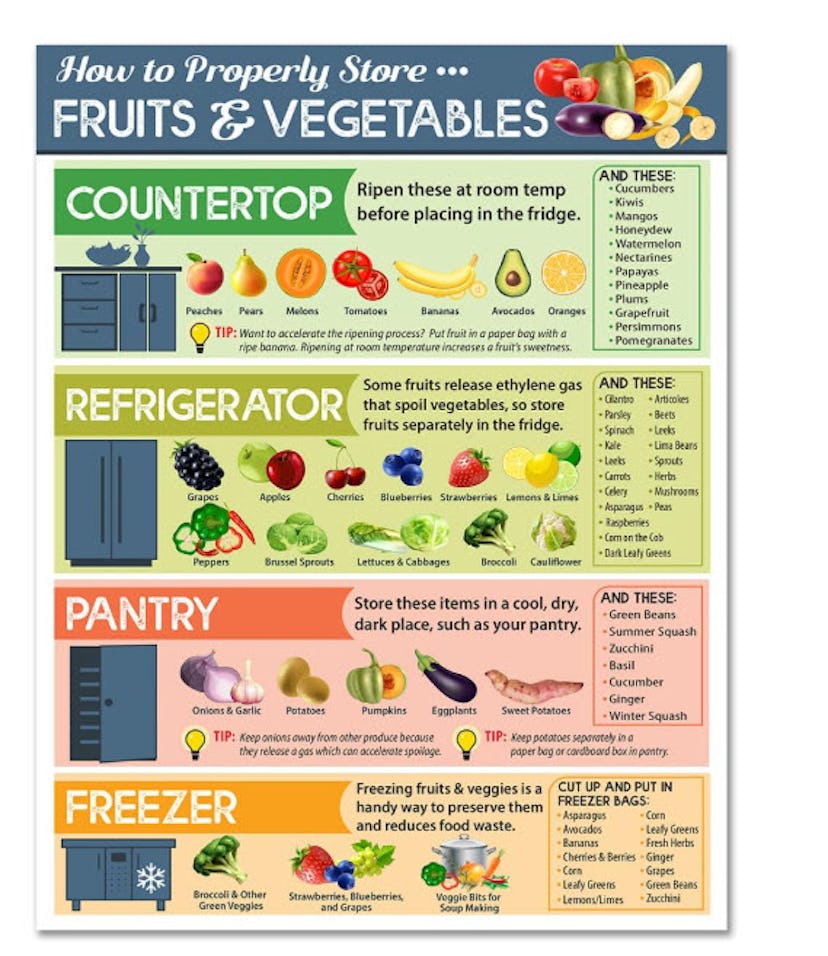 Lone Star Art "How To Properly Store Vegetables and Fruit" Magnets