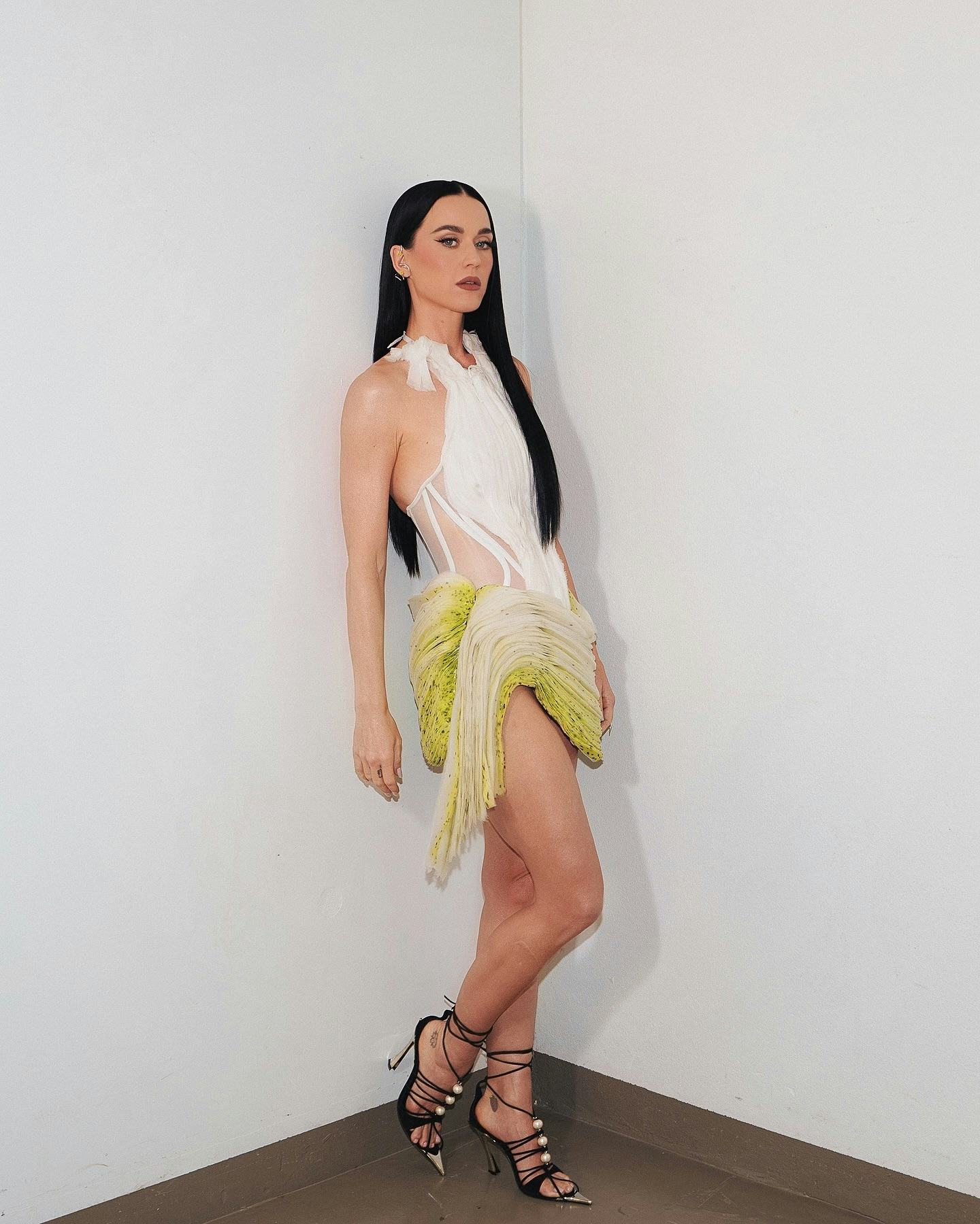 Katy Perry wore a silver belt mini dress.