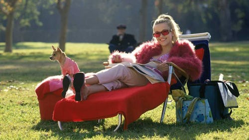 'Legally Blonde' Series 'Elle': Premiere Date, Cast, Trailer