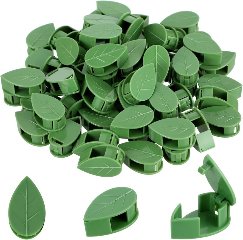 Geiserailie Plant Climbing Wall Fixture Clips (60 Pieces)