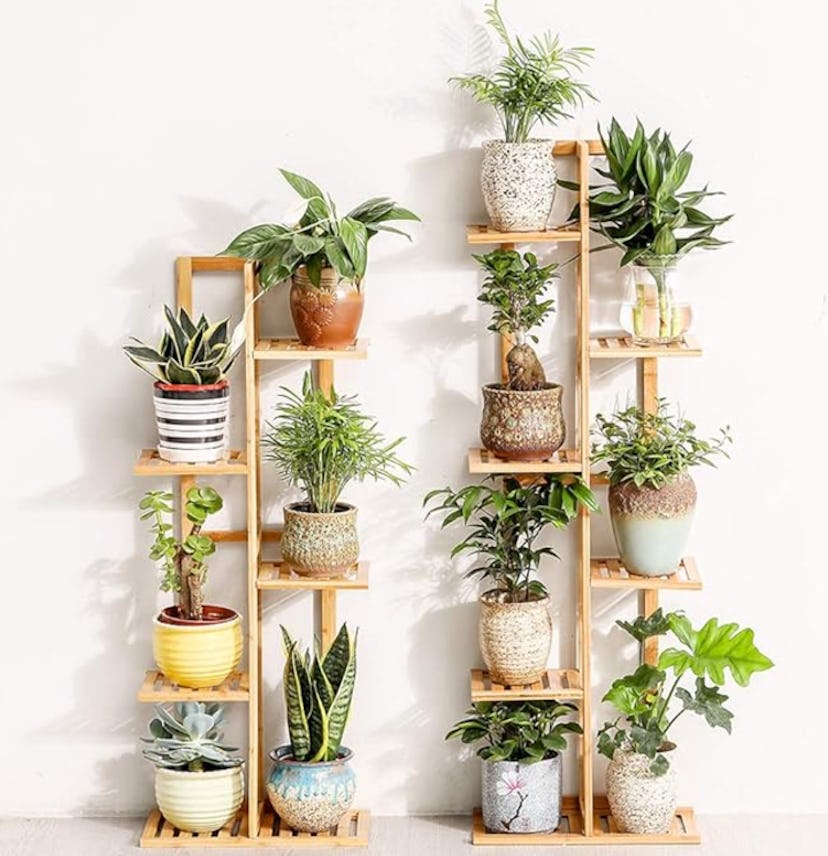 COPREE Plant Stand Rack