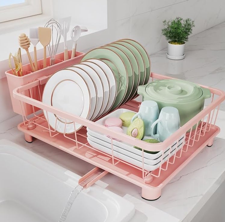 Hiviweer Dish Drying Rack