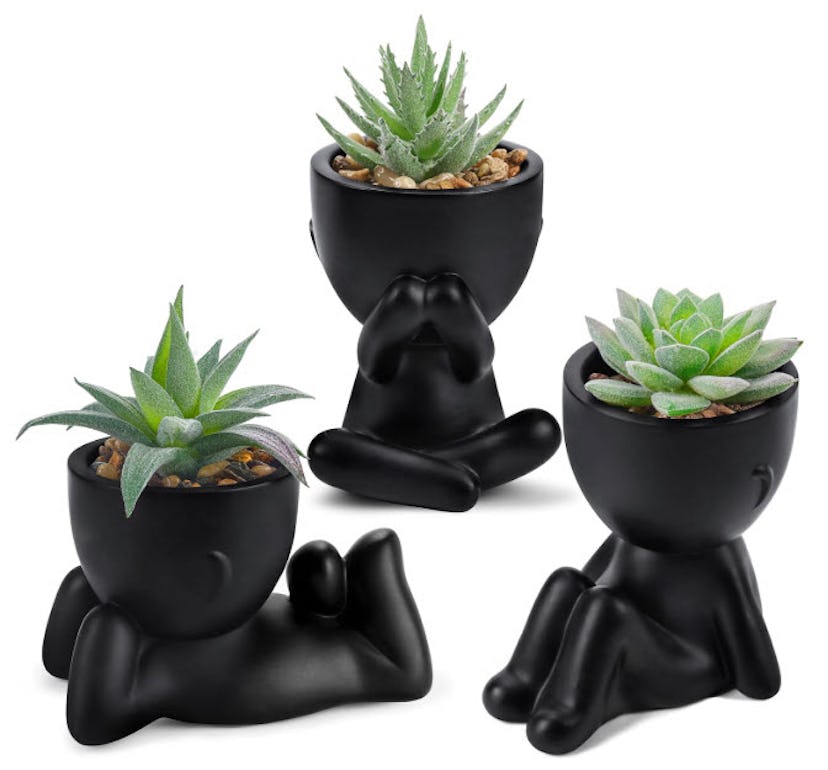 Der Rose Fake Succulents (3-Piece)