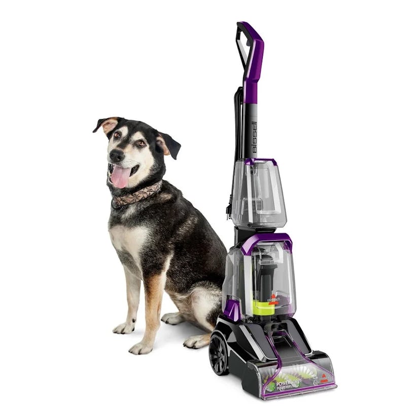 Powerforce Powerbrush Pet Lightweight Carpet Cleaner