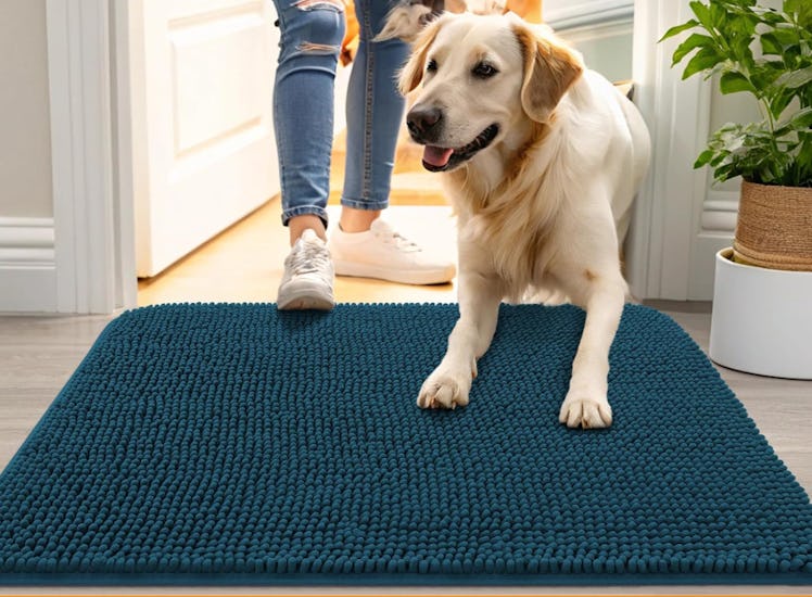 OLANLY Dog Door Mat