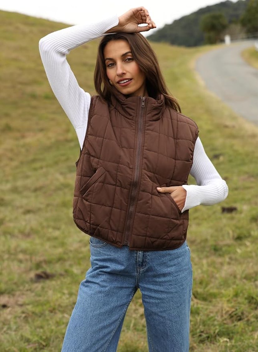 Zeagoo Puffer Vest 