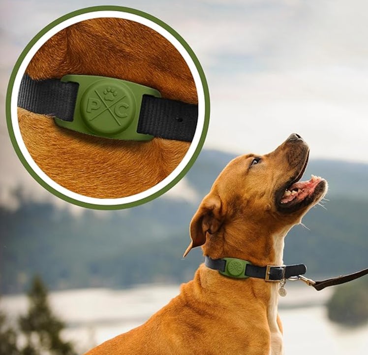 Pup Culture AirTag Dog Collar Holder