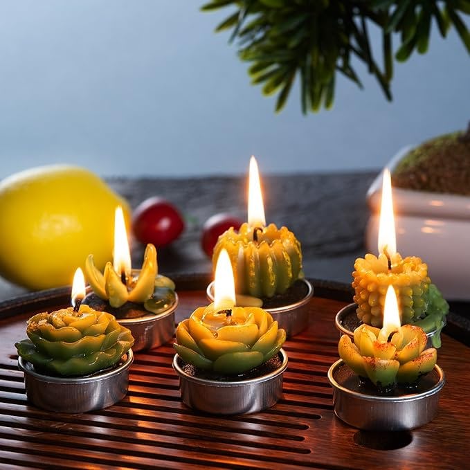 BEAUTYFLOWER Succulent Cactus Candles (Set of 6)