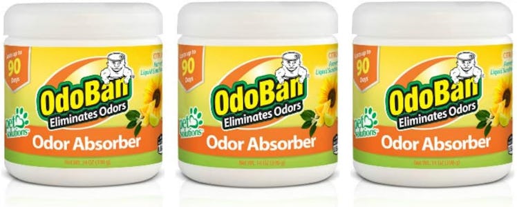 OdoBan Odor Absorbers (3-Pack)