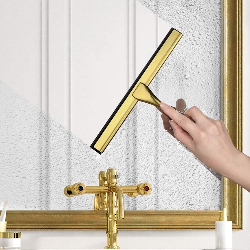 HIWARE All-Purpose Shower Squeegee