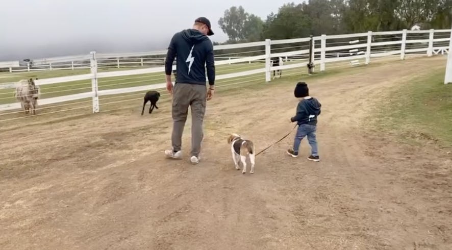 Prince Harry, Prince Archie, and Guy on a walk. Screenshot via Instagram