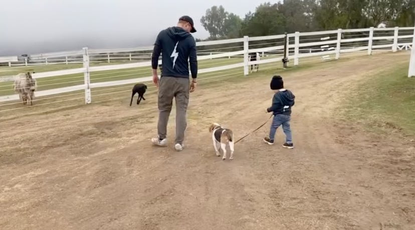 Prince Harry, Prince Archie, and Guy on a walk. Screenshot via Instagram