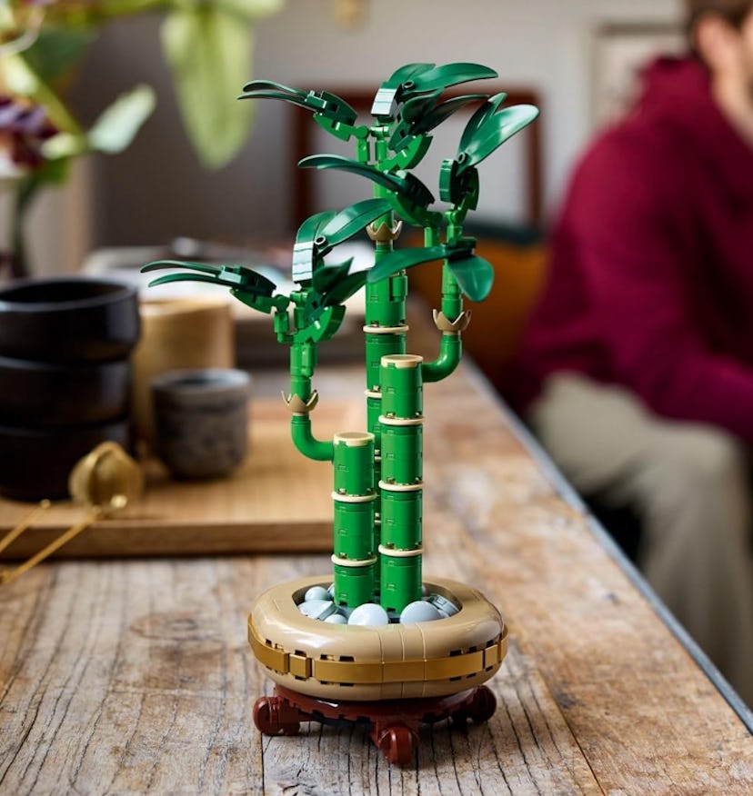 LEGO Botanicals Lucky Bamboo Set 