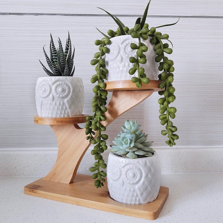 BESTTOYHOME Owl Succulent Pots with 3-Tier Bamboo Stand (4 Pieces)