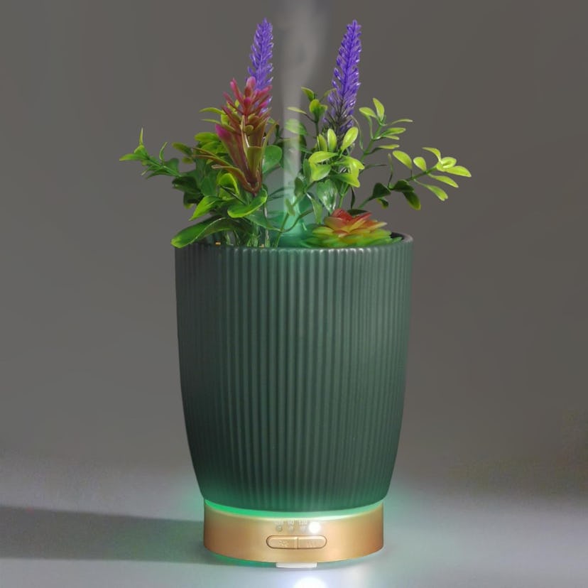Earnest Living Essential Oil Plant Diffuser 