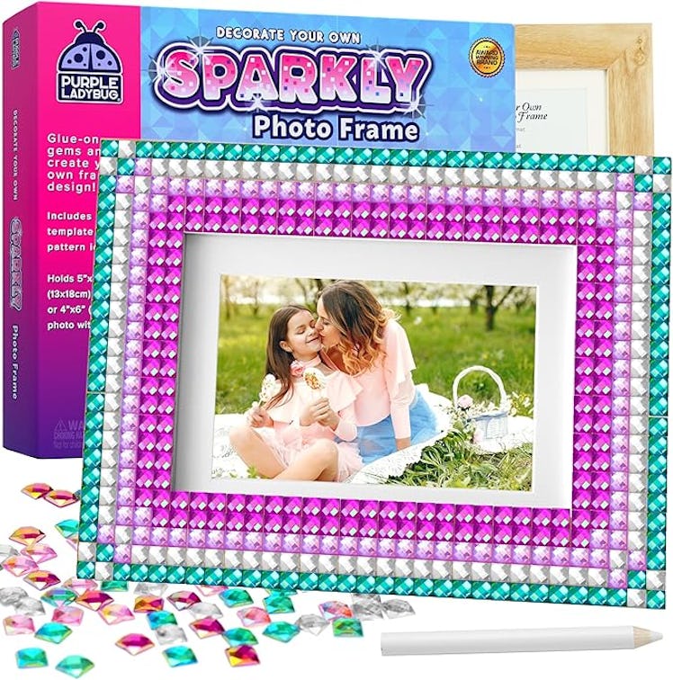 PURPLE LADYBUG Picture Frame Mosaic Kit