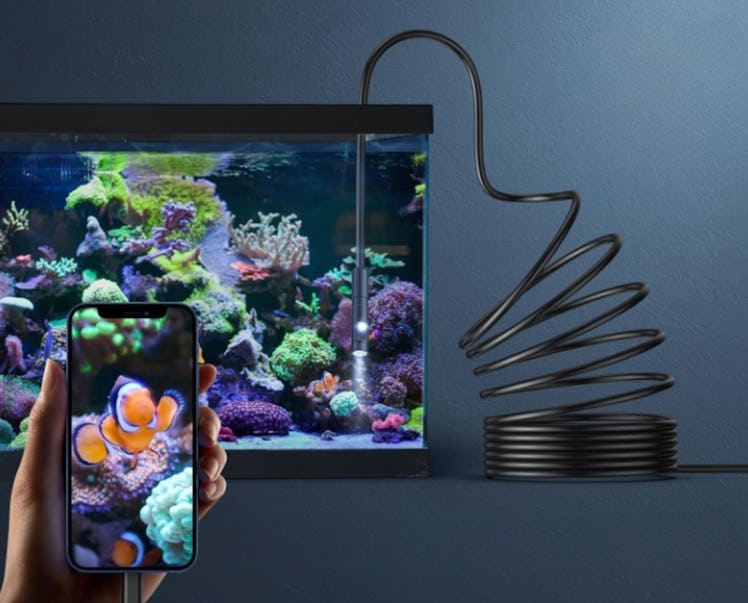 Kinpthy Endoscope Camera 