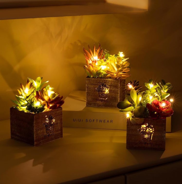 Mingfuxin Lit Faux Succulents (3-Pack)