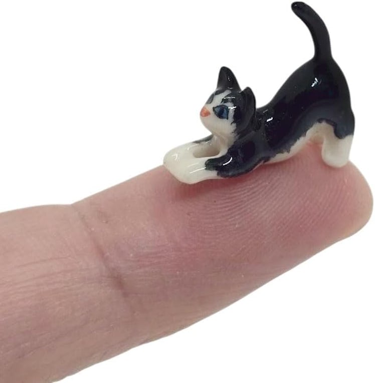 WitnyStore Tiny Cat