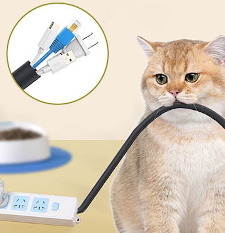 UOMTFAI Pet Cord Protector