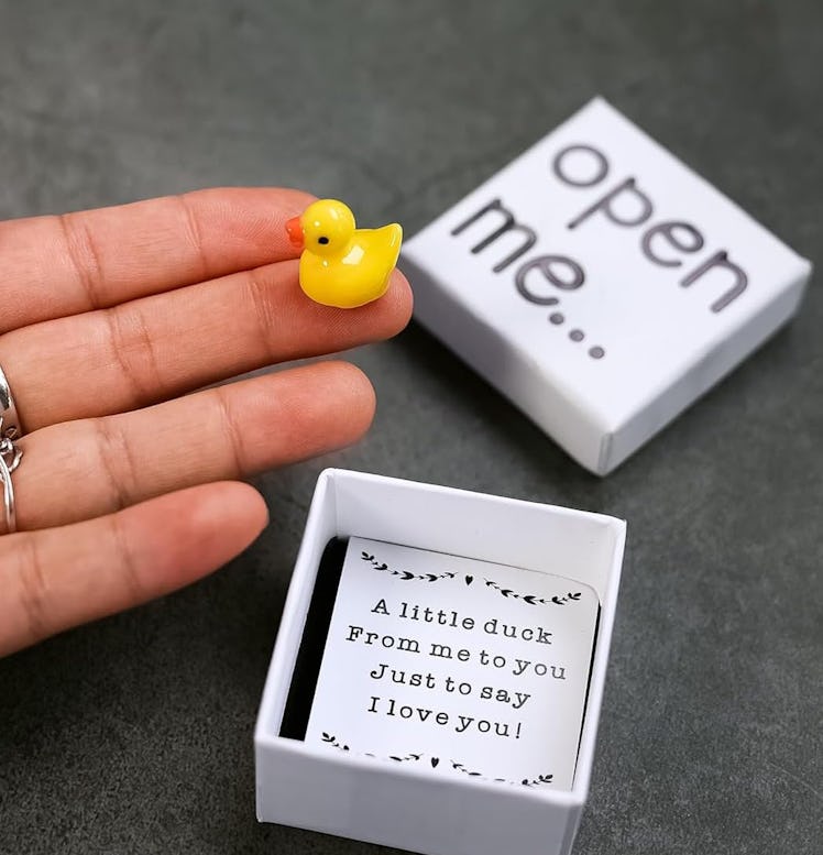 funfeel Miniature Duck