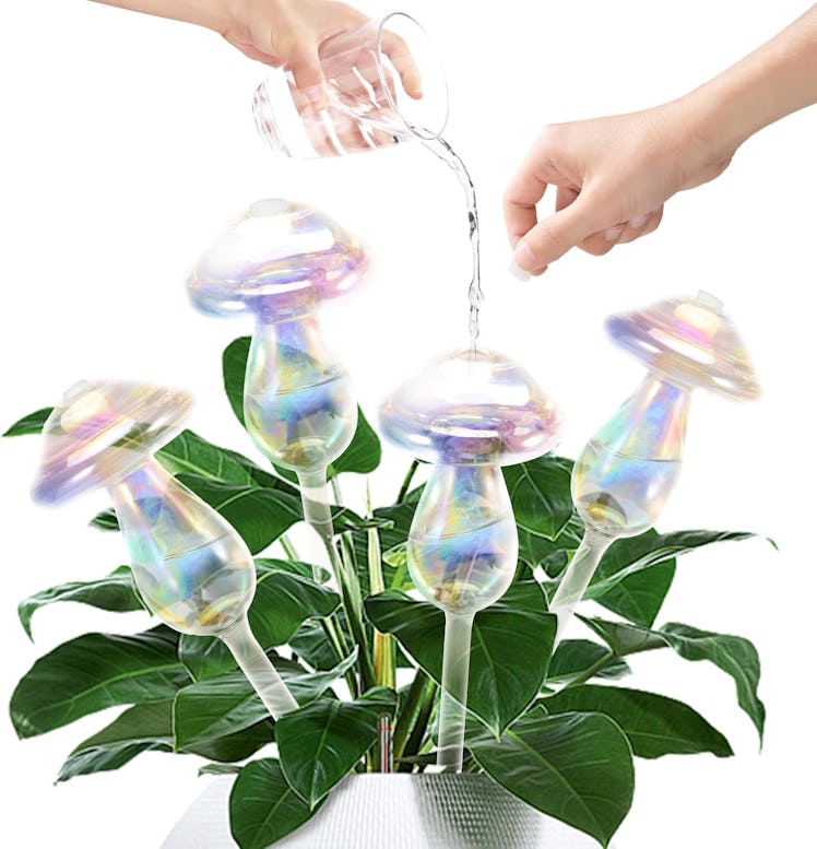 JFLLAJNF Plant-Watering Globes (4-Pack)