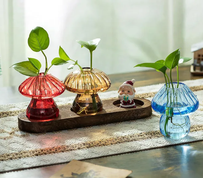 Hewory Glass Propagation Station