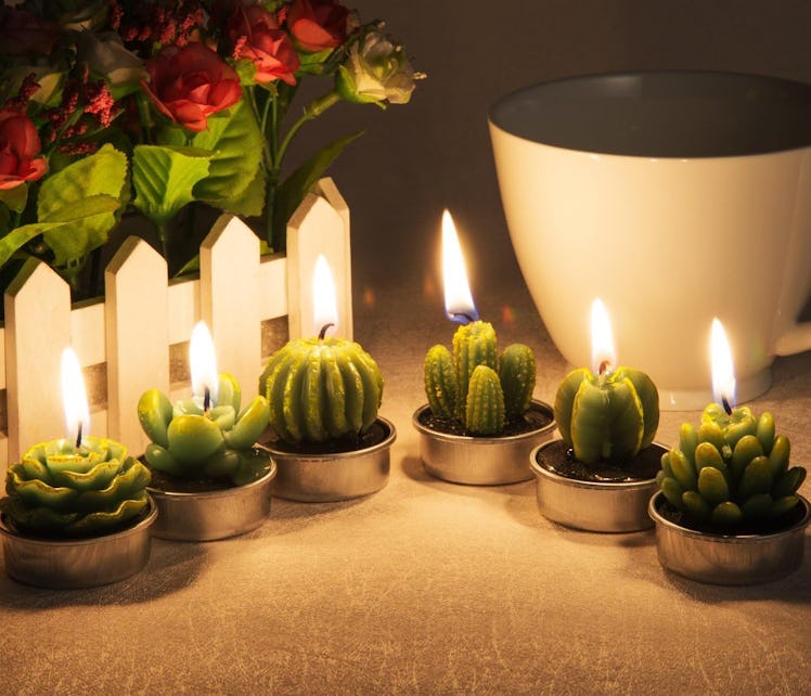 BEAUTYFLOWER Succulent Cactus Candles (12-Pack)