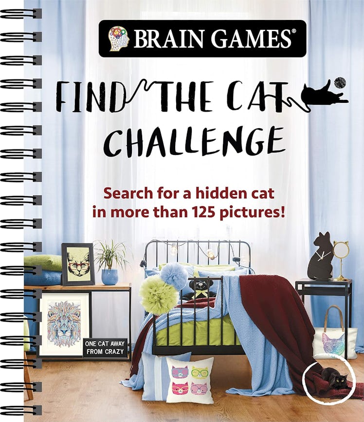 Find The Cat by Publications International Ltd. 