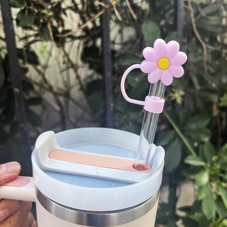 Velaco Silicone Straw Covers (5 Pieces)
