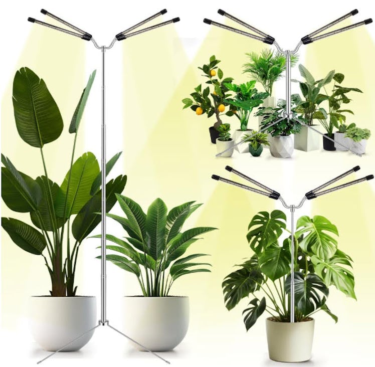 Yiyehu Full-Spectrum Grow Lights for Indoor Plants