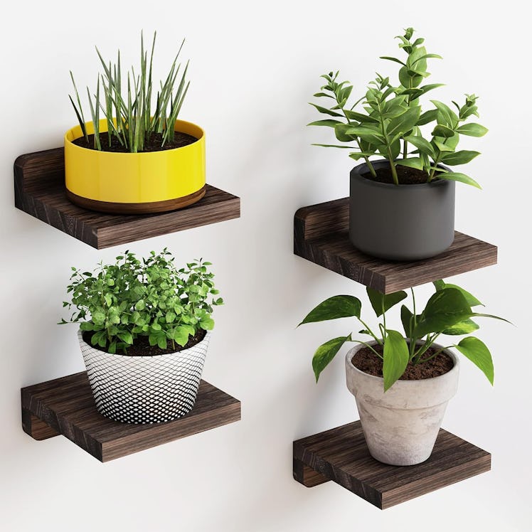 Fixwal Floating Shelves (4-Pack)