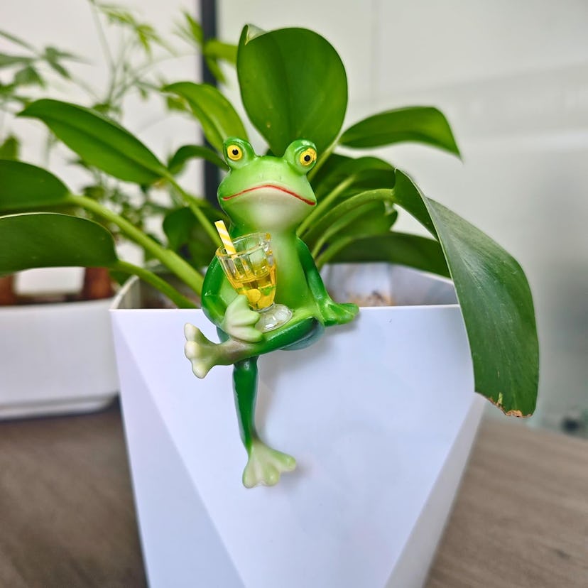 RJVZUKL Tipsy Frog Pot Hugger